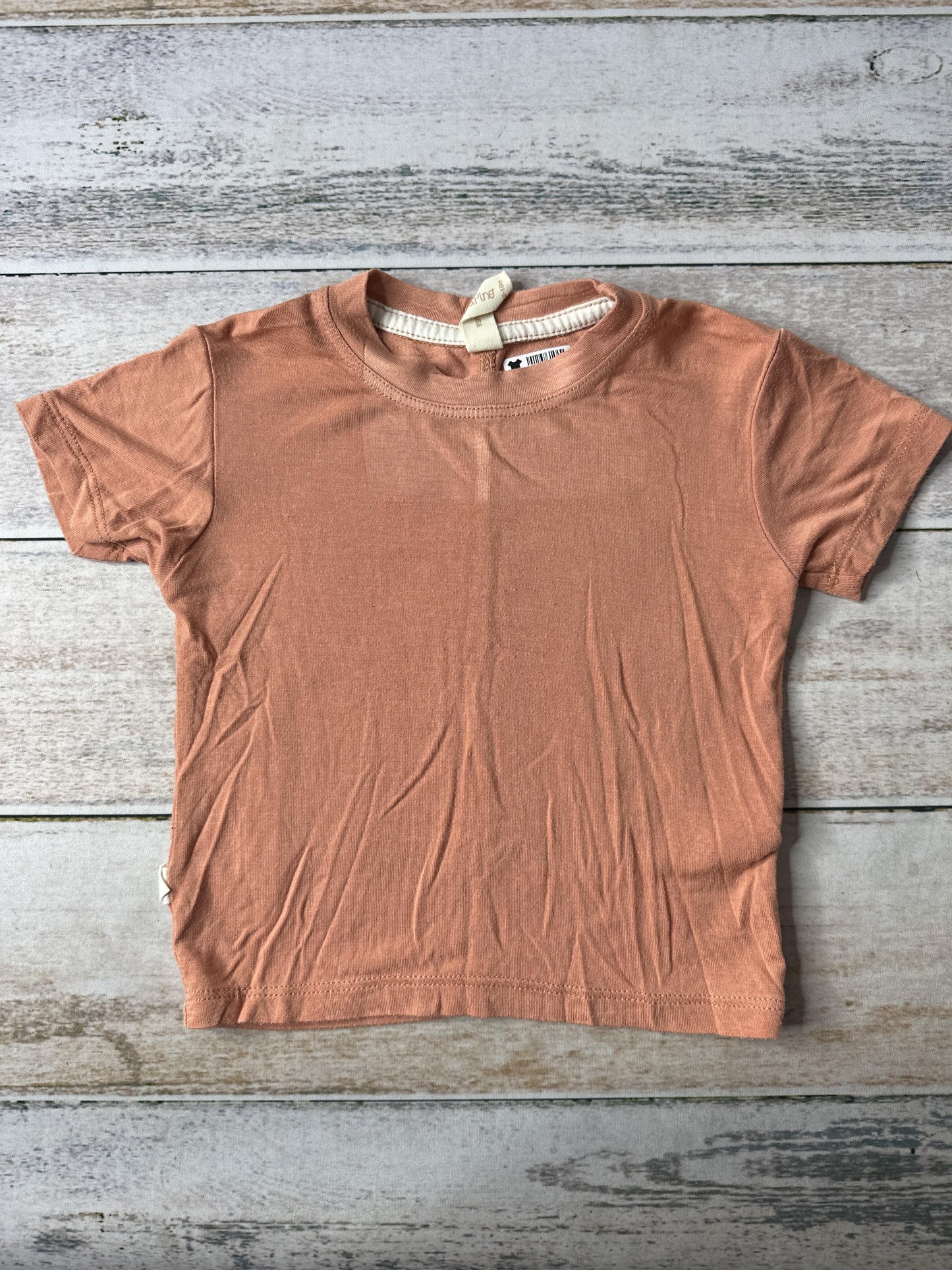 Tenth + Pine Boys orange T-Shirt Size: 12-18 months orange