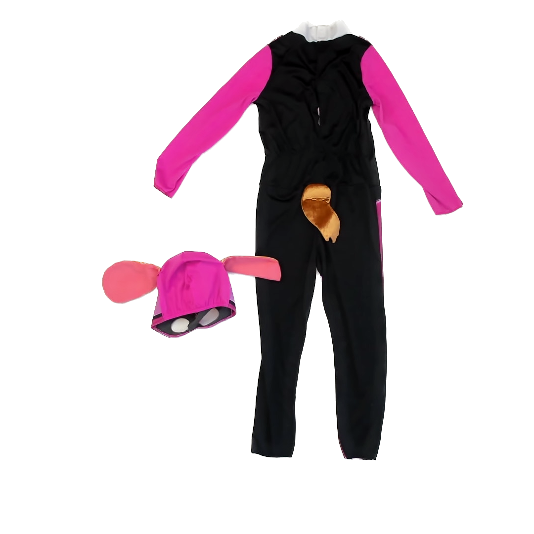 Paw Patrol Girls Pink | Black | Skye Costume Size: Youth Large Pink | Black | Skye