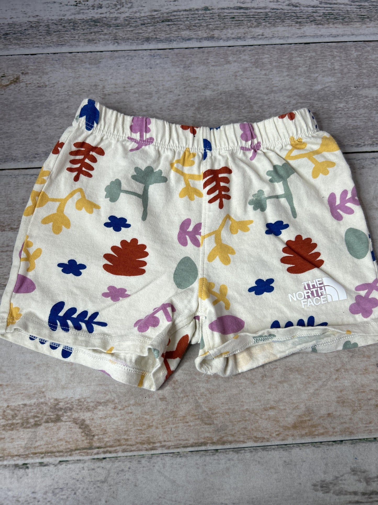 The North Face Girls Pink floral Shorts Size: 18-24 months Pink floral