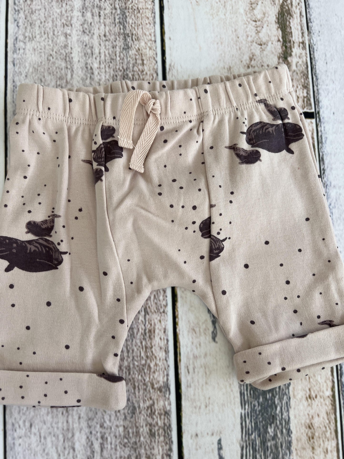 Kate Quinn Girls pink | whales Shorts Size: 6-12 months pink | whales