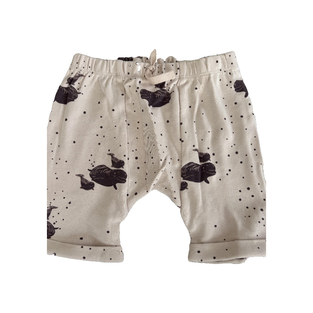 Kate Quinn Girls pink | whales Shorts Size: 2T pink | whales