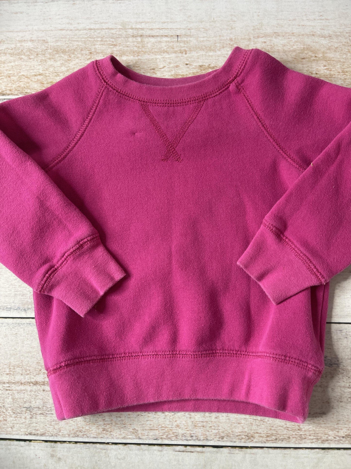 Primary Unisex pink Sweatshirt Size: 2T pink