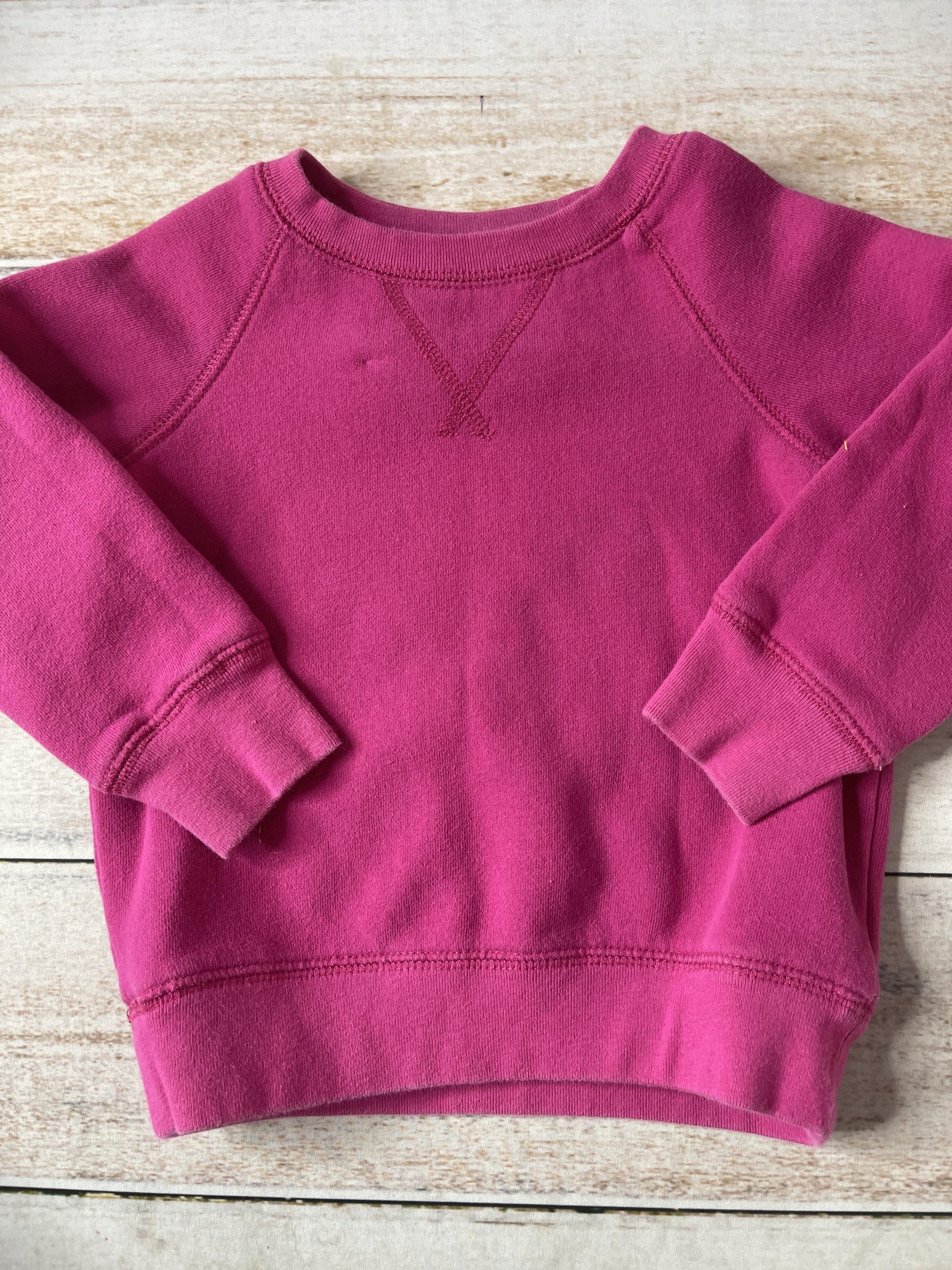 Primary Unisex pink Sweatshirt Size: 2T pink