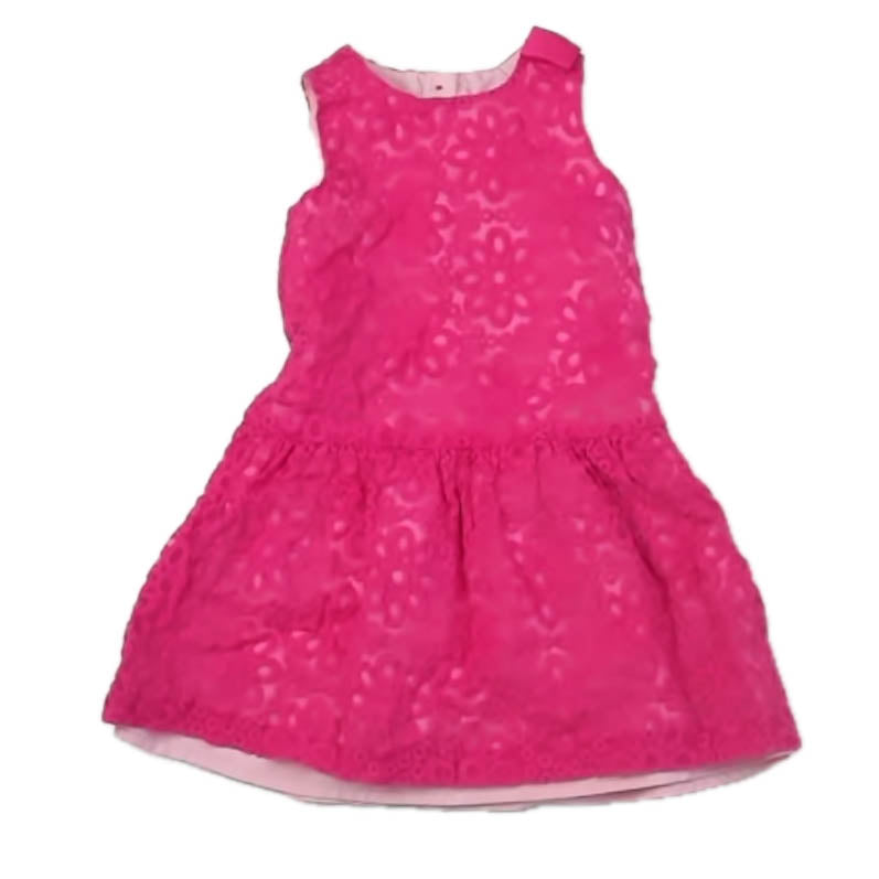 Gymboree Girls Pink Dress Size: 3T Pink