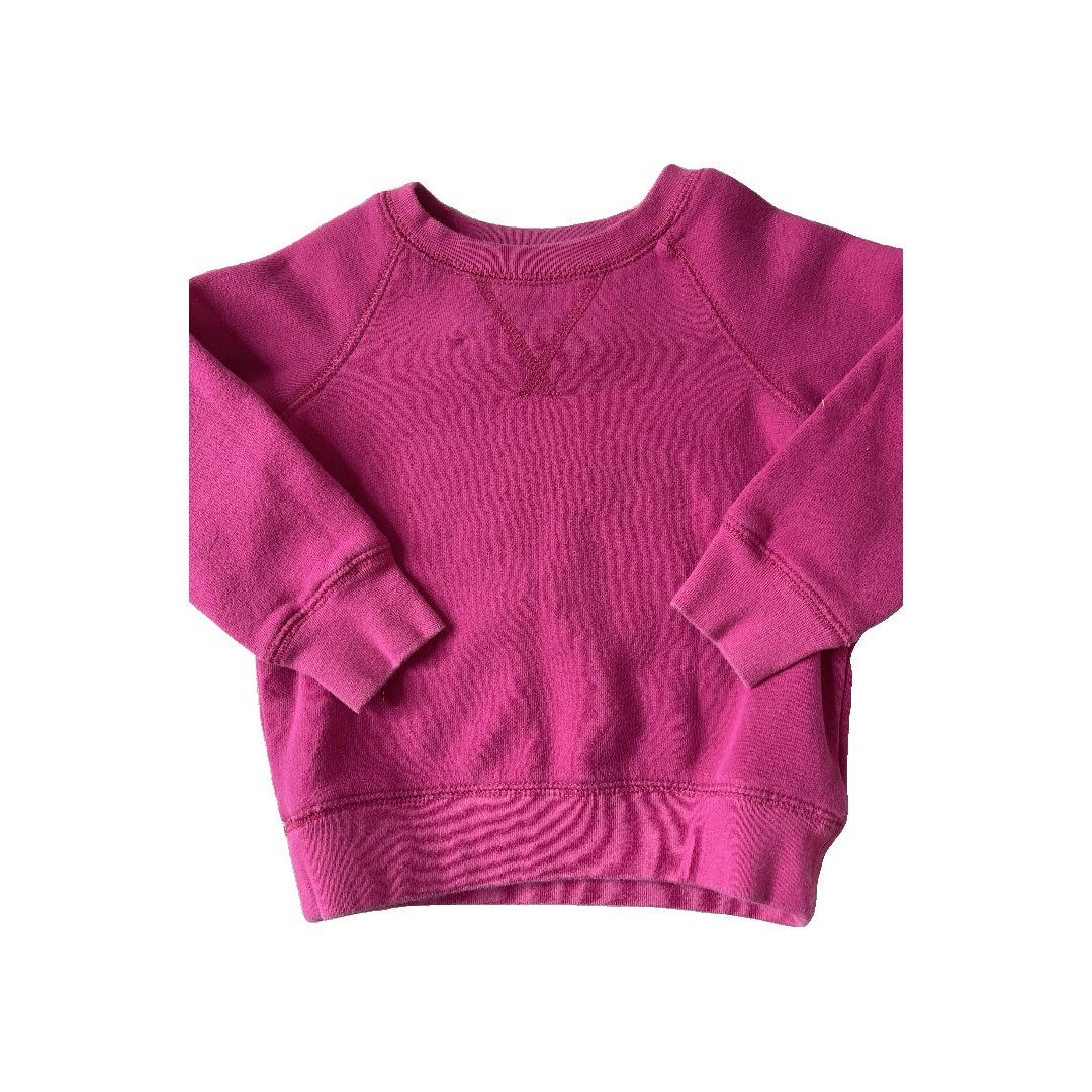 Primary Unisex pink Sweatshirt Size: 2T pink