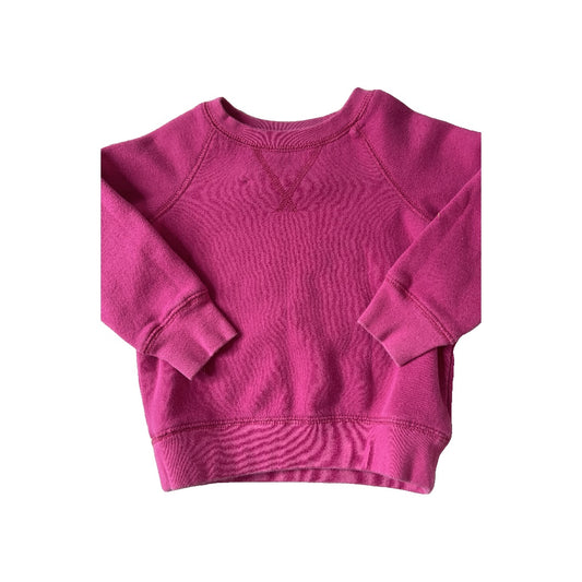Primary Unisex pink Sweatshirt Size: 2T pink