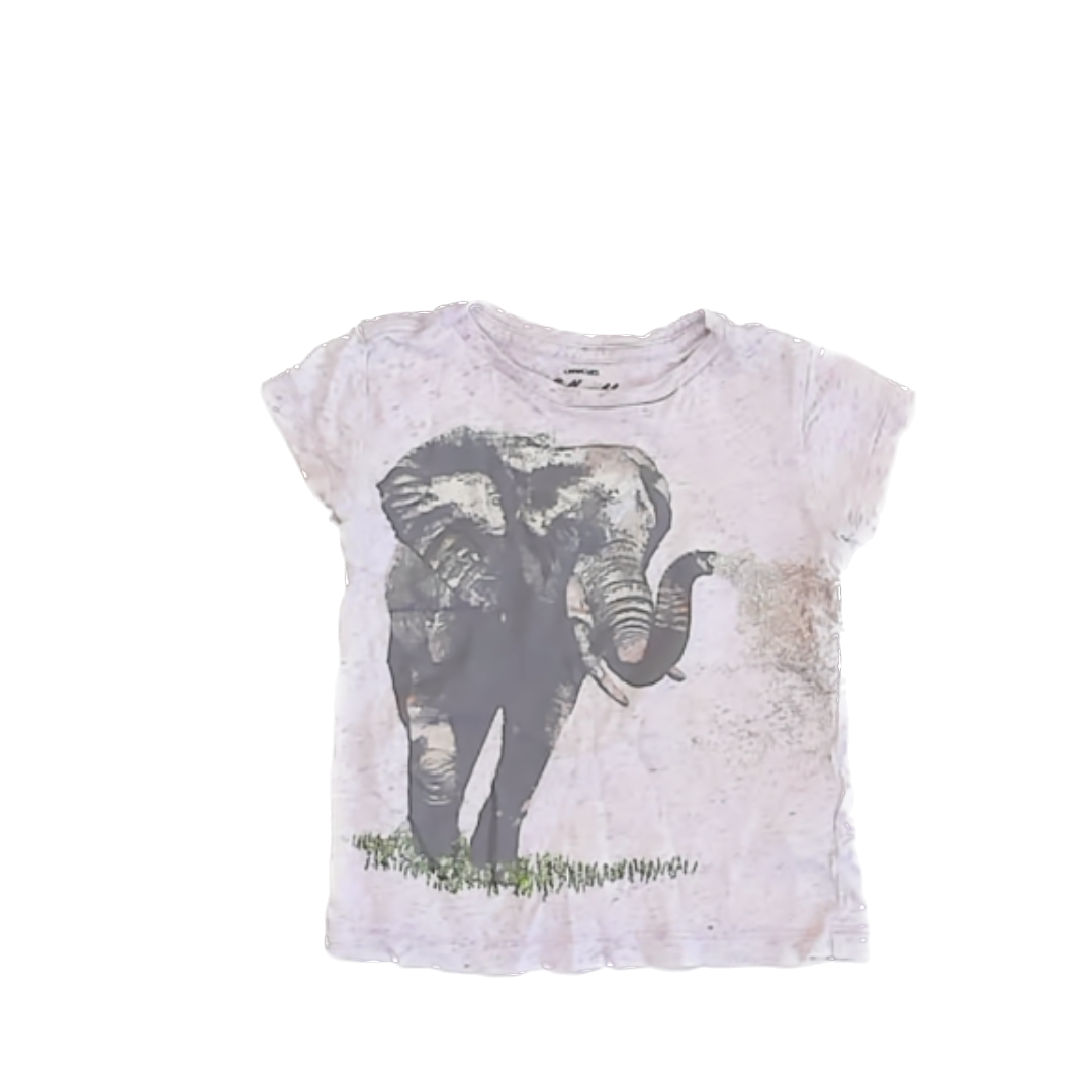 Crewcuts Girls Purple | Elephant T-Shirt Size: 2T Purple | Elephant