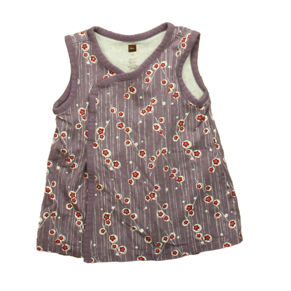 Tea Girls Purple | Red Floral Dress Size: 2T Purple | Red Floral