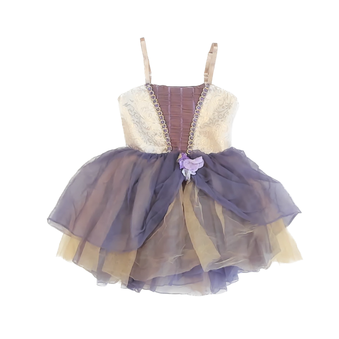 Curtain Call Costumes Girls Purple Costume Size: 5-7 Years* Purple