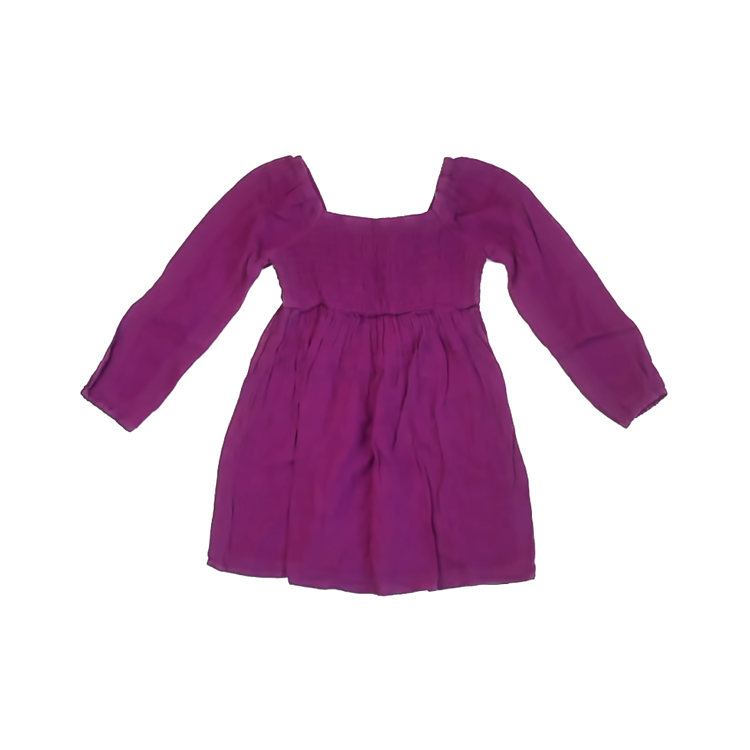 Gap Girls Purple Dress Size: 4-5T Purple