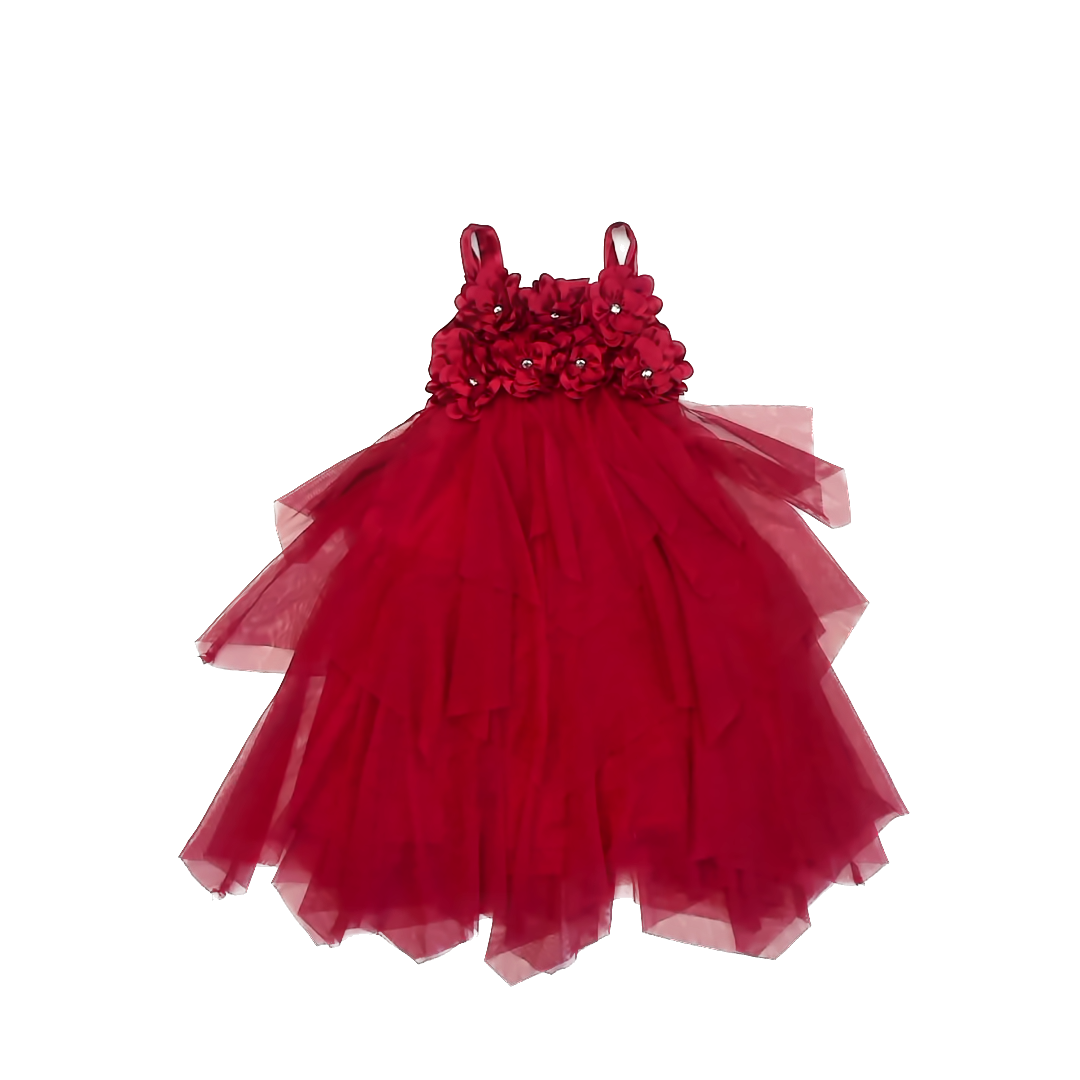 Biscotti Girls Red Special Occasion Dress Size: 6 Red