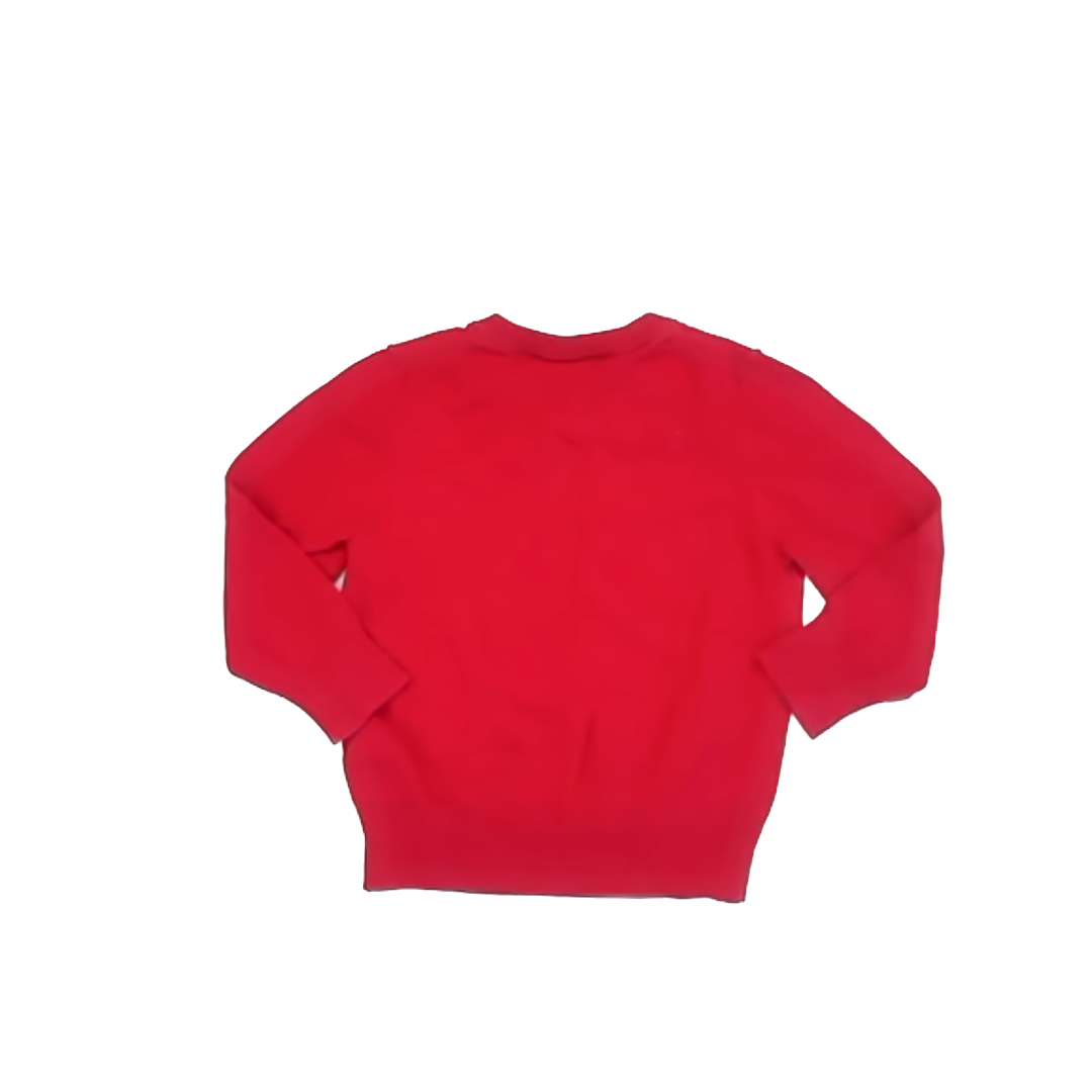 Gap Boys Red Sweater Size: 2T Red