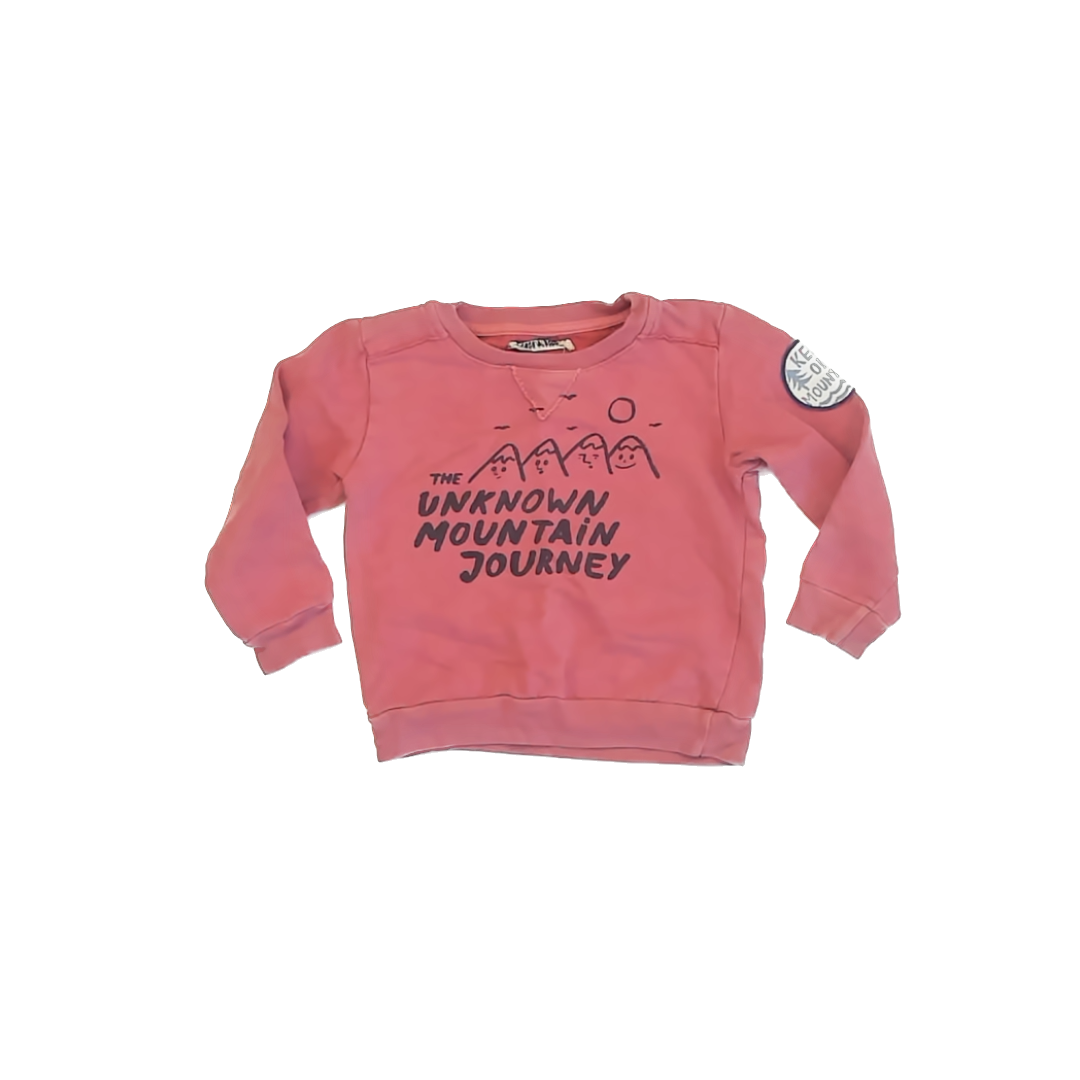 Bobo Choses Boys Redish Sweatshirt Size: 2-3T Redish