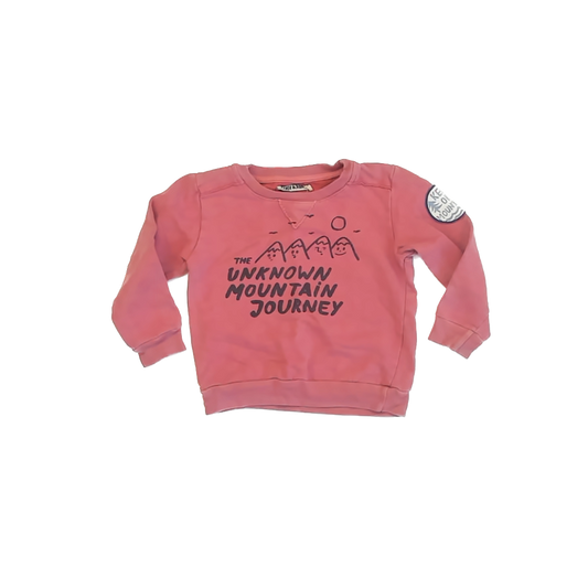 Bobo Choses Boys Redish Sweatshirt Size: 2-3T Redish