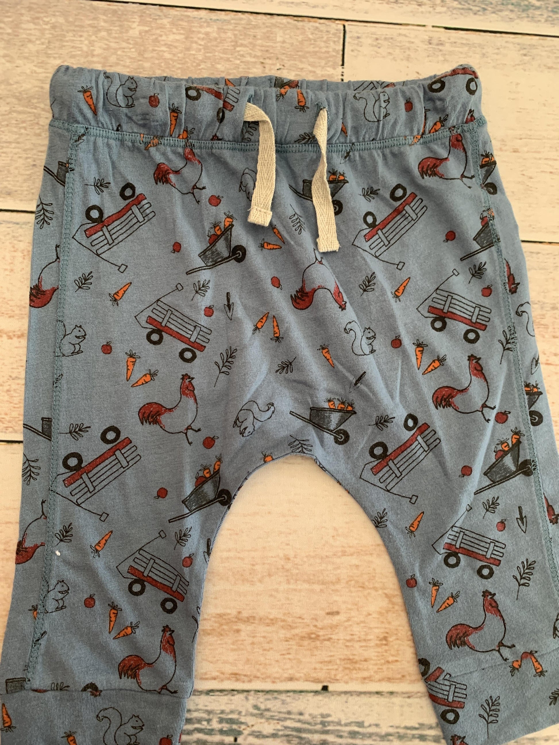 Boys Royal Blue | animals Pants Size: 9 months Royal Blue | animals
