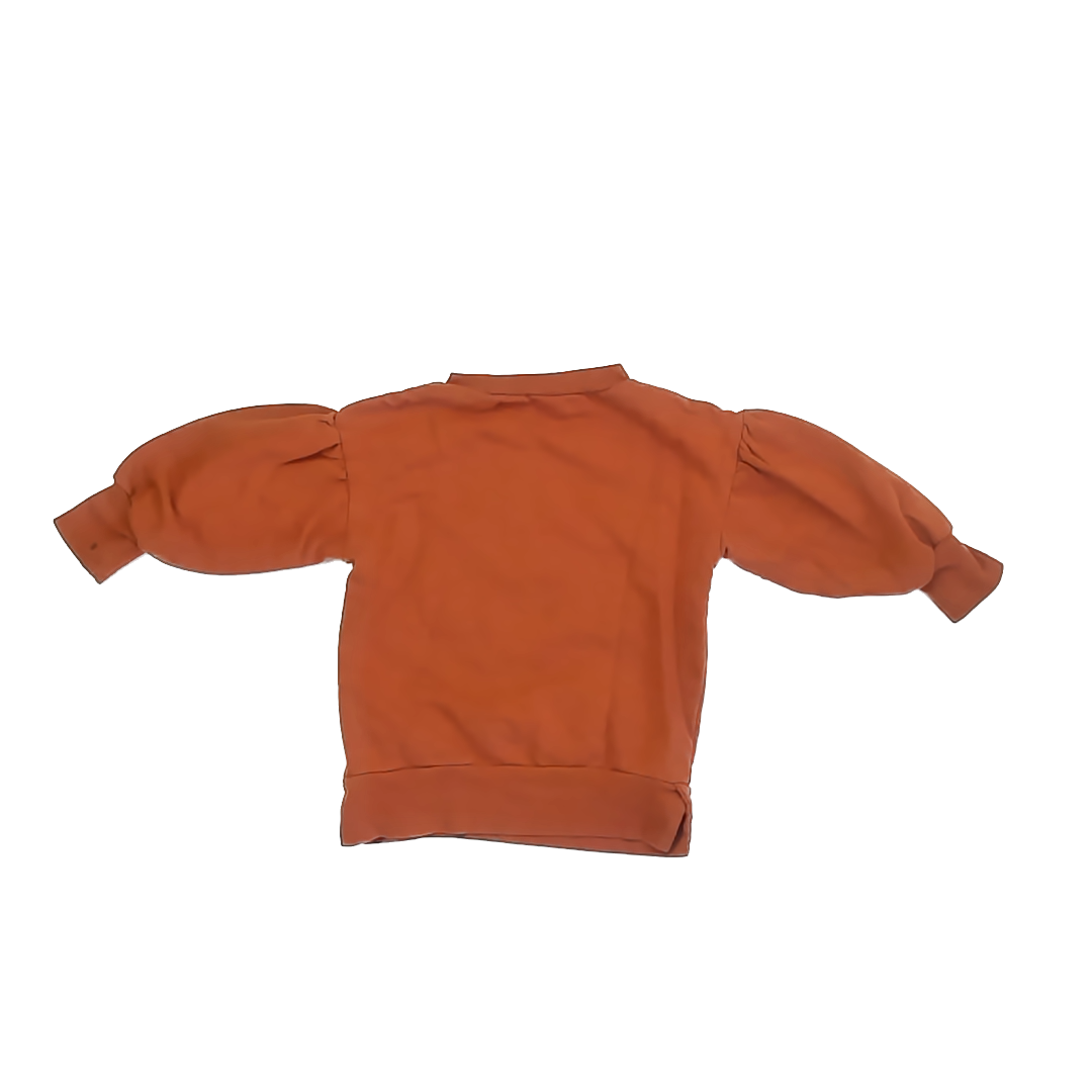 PL Kids Girls Rust | Rainbow Sweatshirt Size: 2T Rust | Rainbow