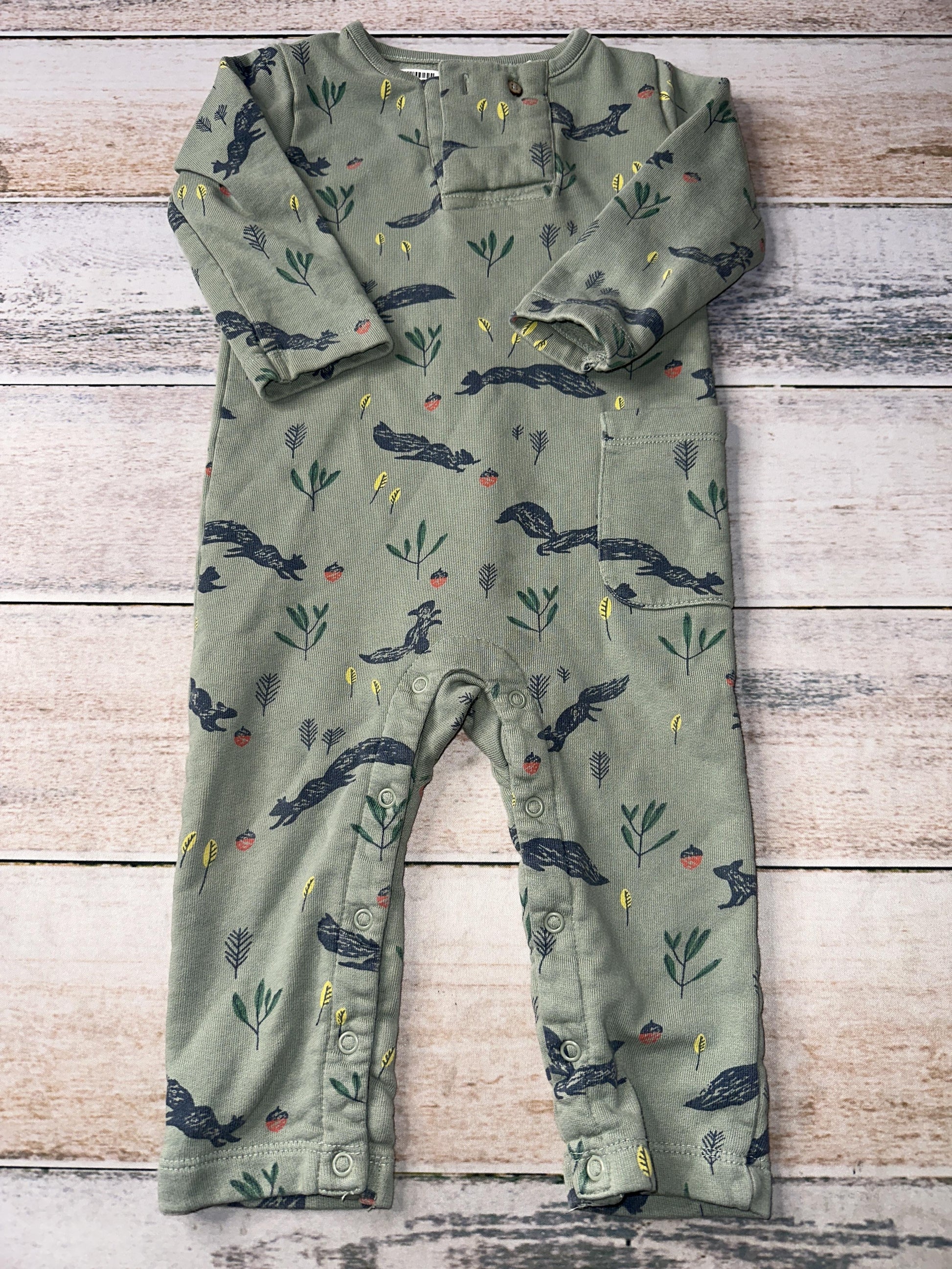 Oliver & Rain Unisex Sage | animals Long Sleeve Outfit Size: 12M Sage | animals