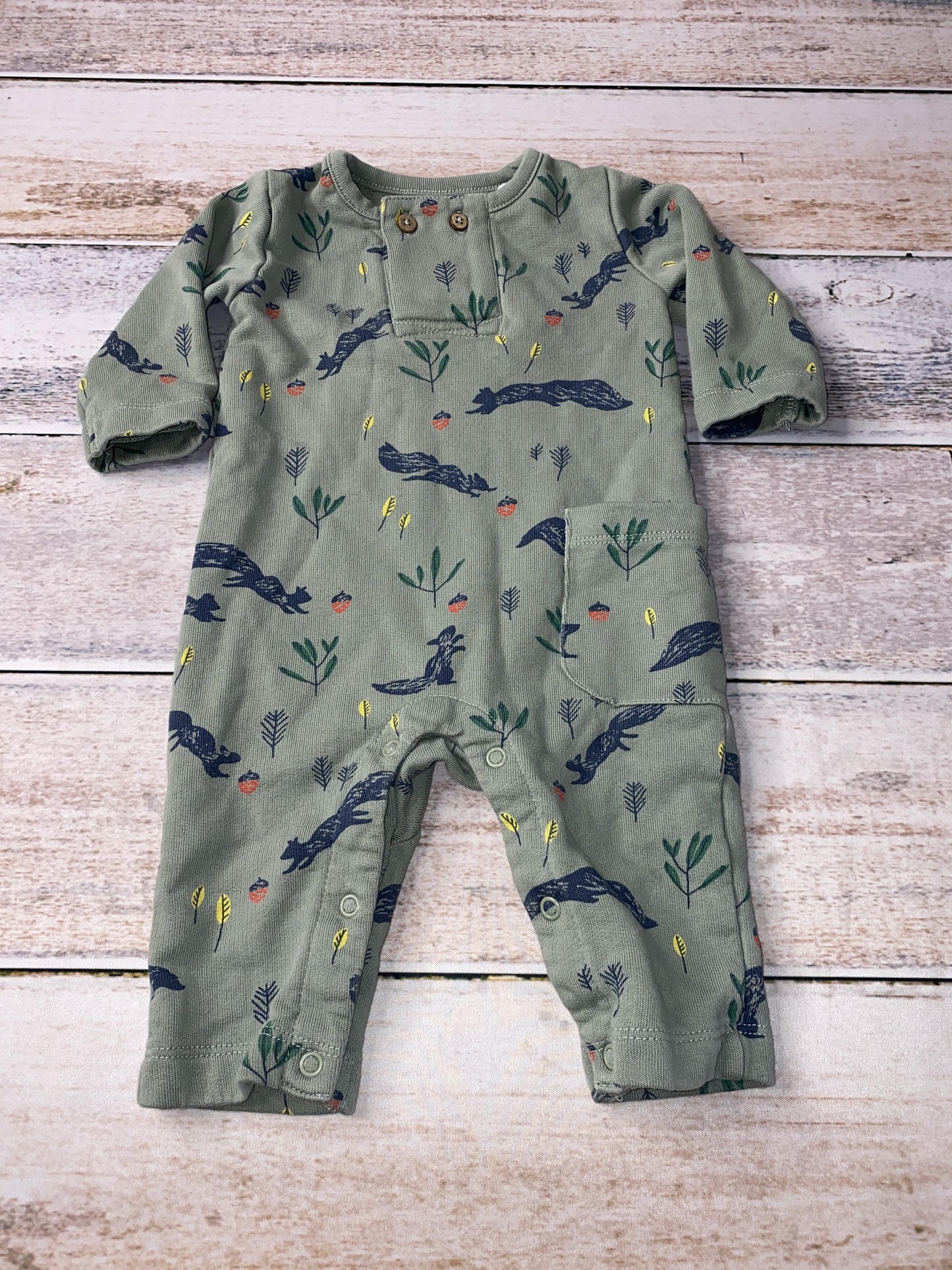 Oliver & Rain Boys Sage | animals Long Sleeve Outfit Size: 3 months Sage | animals