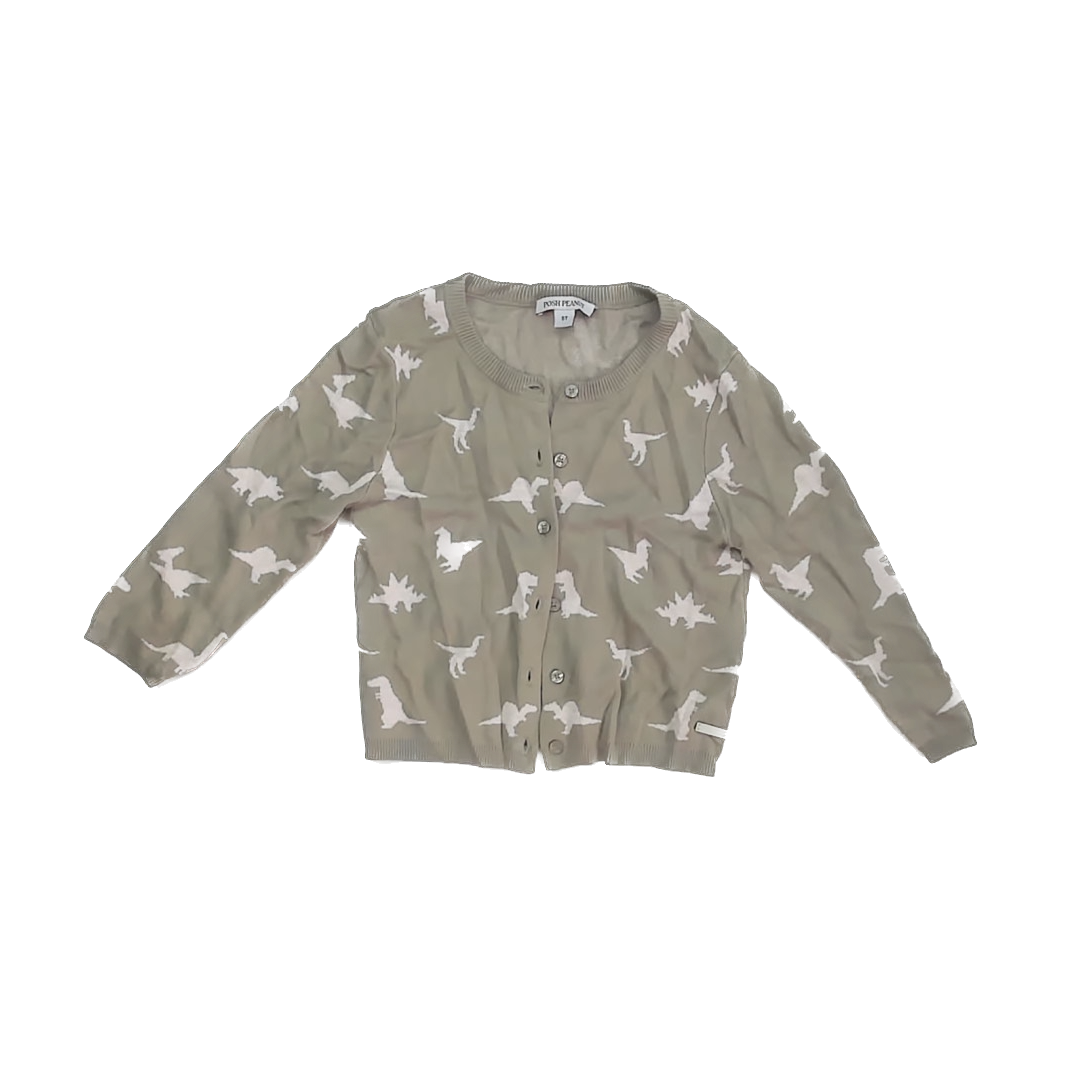Posh Peanut Unisex Sage Dinosaur Cardigan Size: 5T Sage Dinosaur