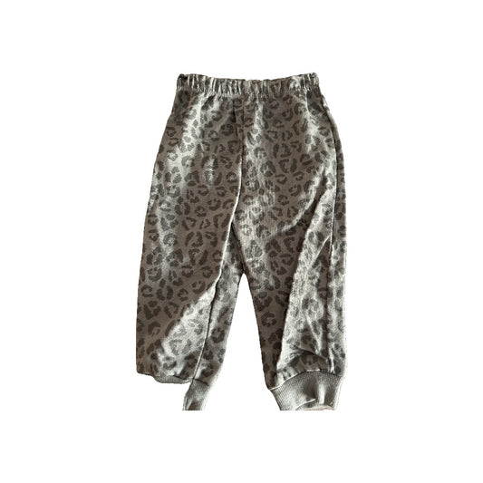 Chick Pea Girls Sage | Leopard print Pants Size: 12M Sage | Leopard print
