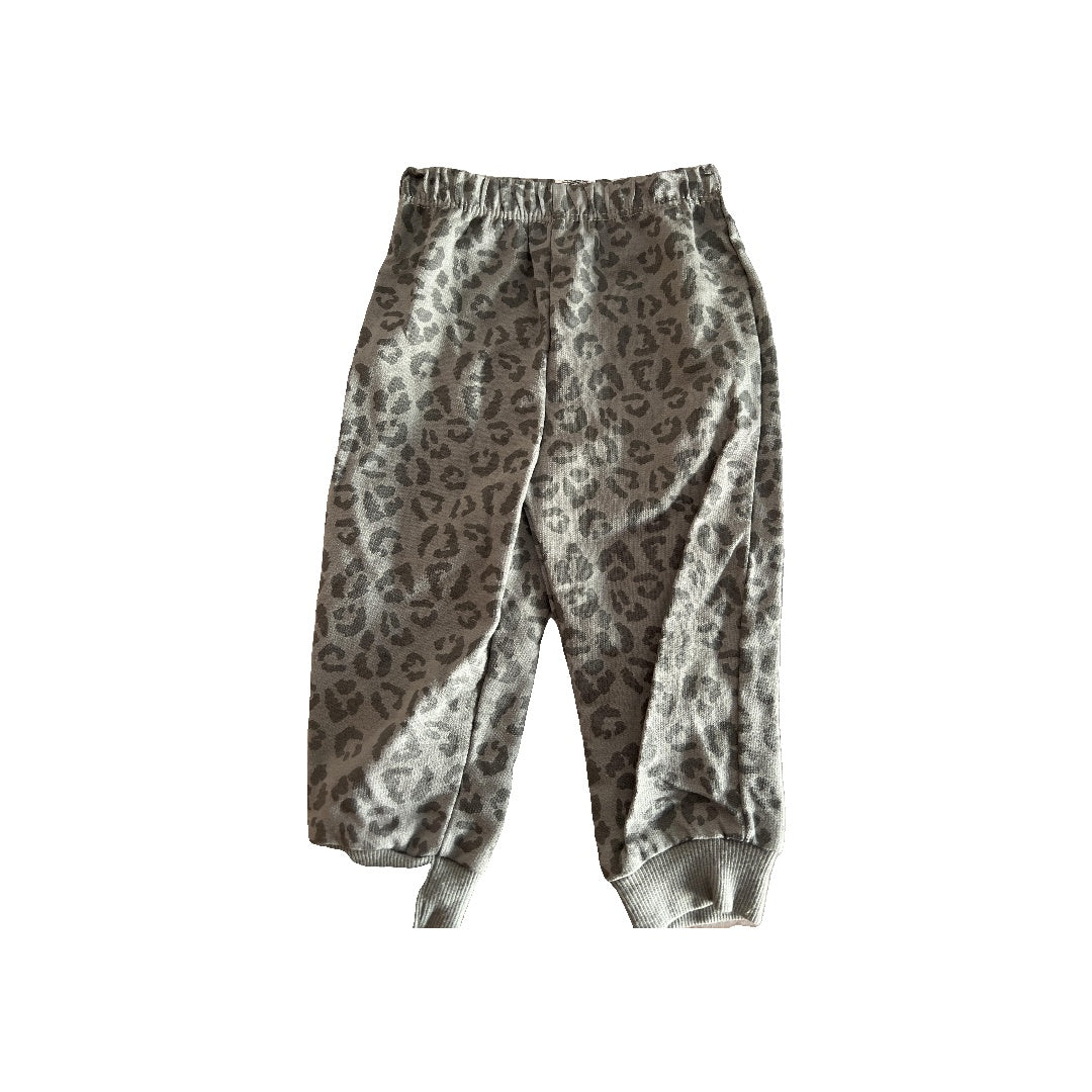 Chick Pea Girls Sage | Leopard print Pants Size: 12M Sage | Leopard print