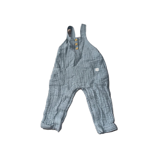 Little Planet Unisex Sage Overalls Size: 6 months Sage
