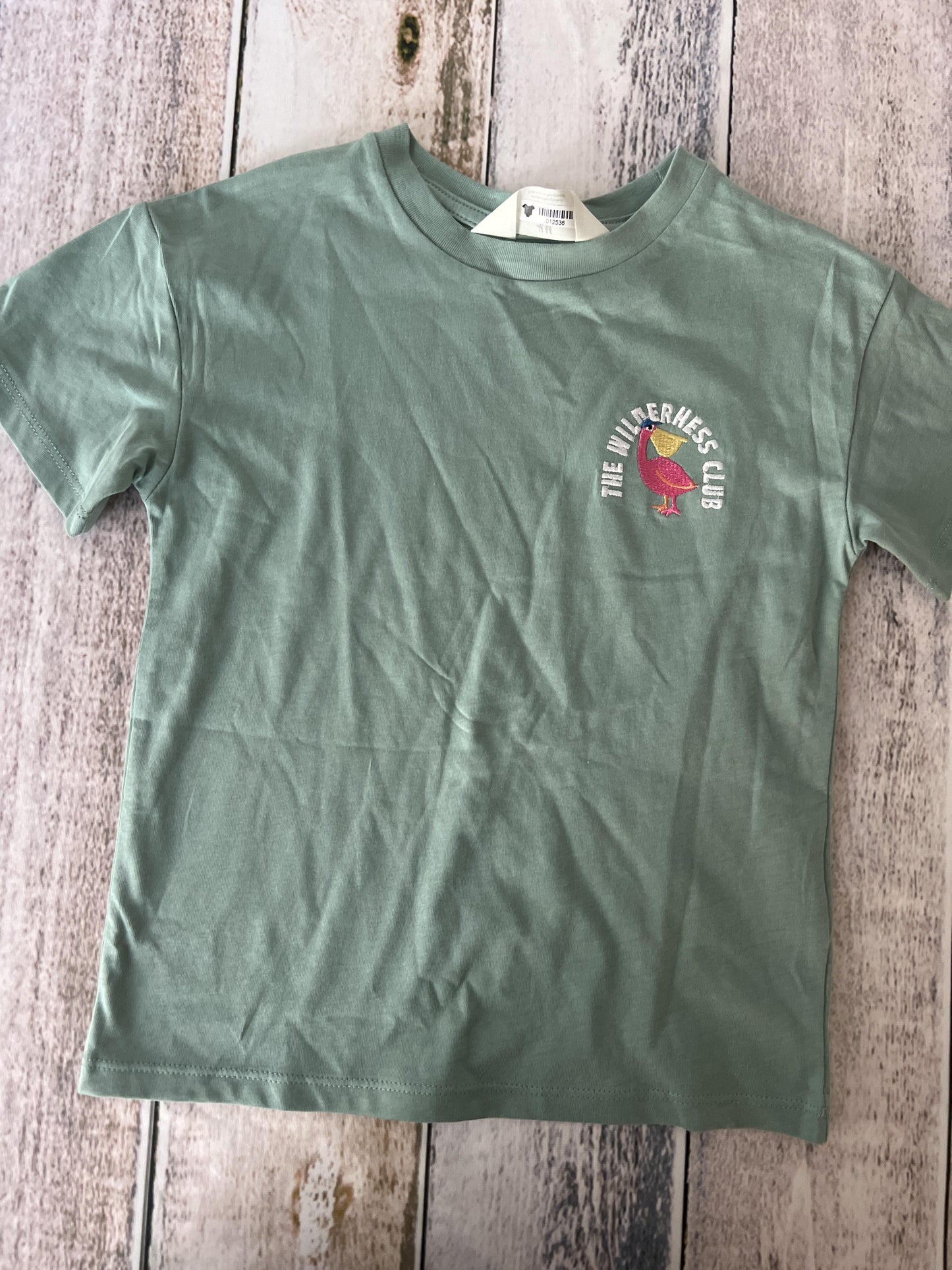 H&M Girls Sage T-Shirt Size: 3T Sage