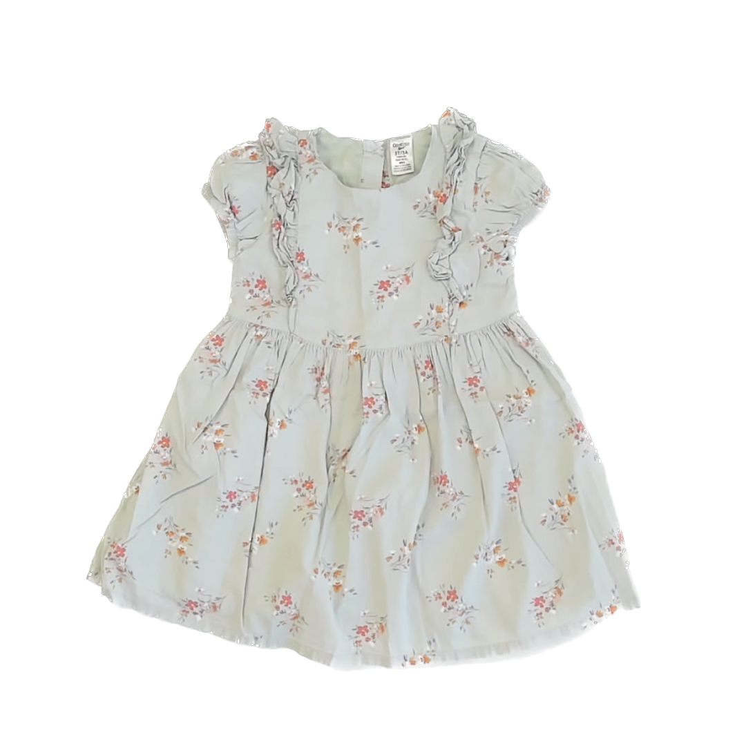 Osh Kosh Girls Sage Dress Size: 3T Sage