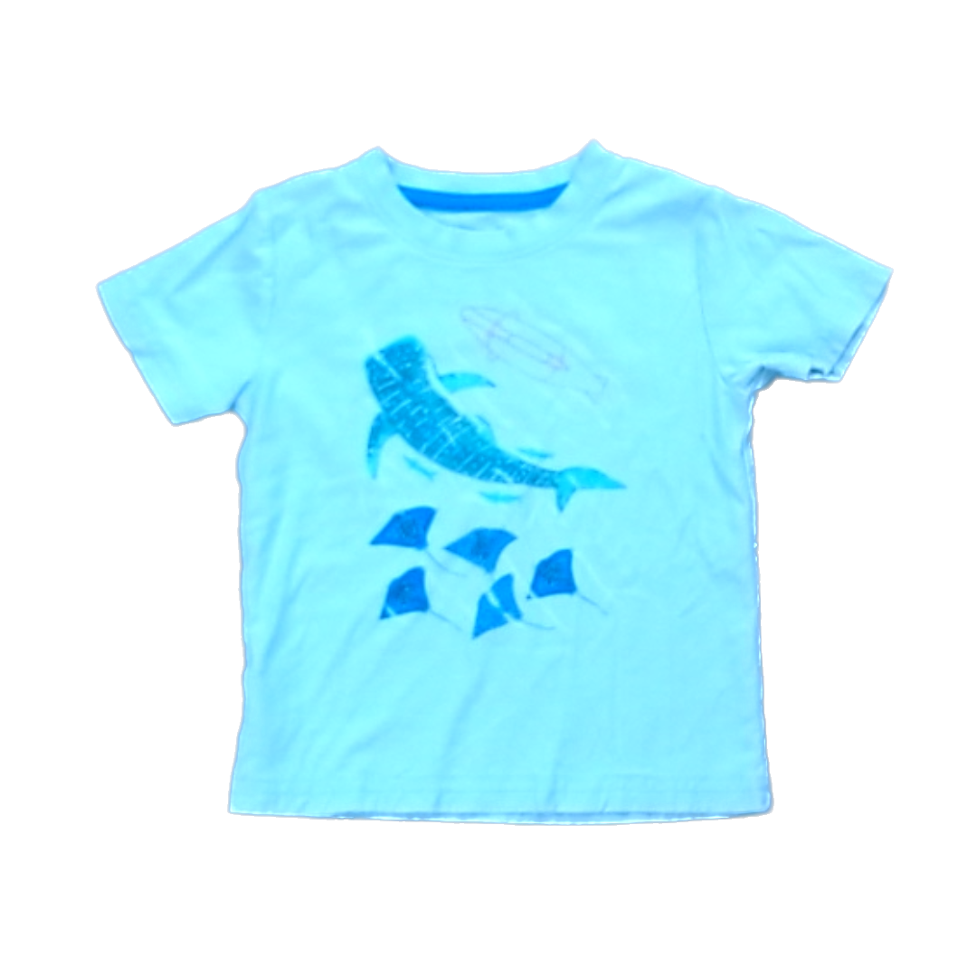 Tea Collection Boys Sea Green | Sea Creatures Shirt Size: 3T Sea Green | Sea Creatures