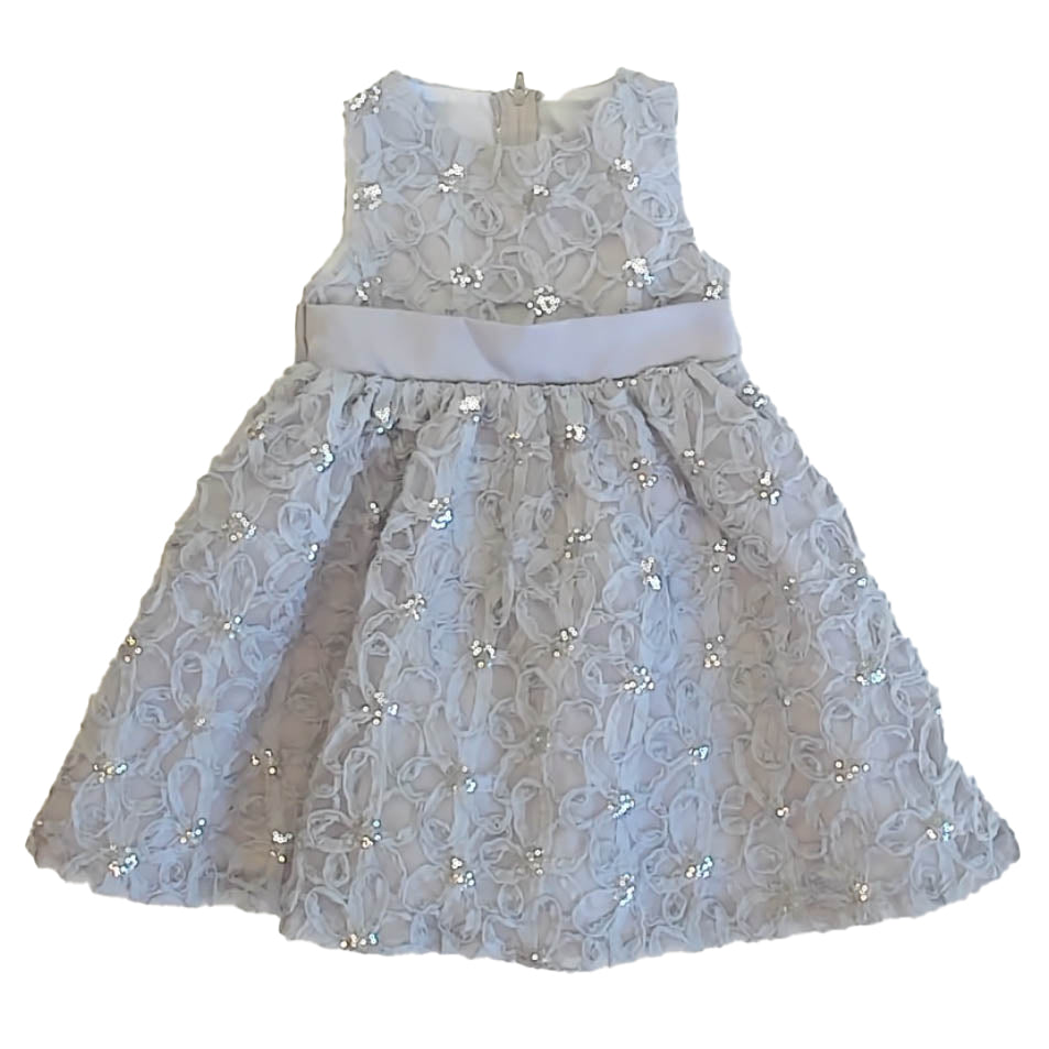 Rare Editions Girls Silver Special Occasion Dress Size: 3T Silver