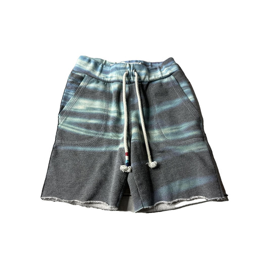 Boys Teal | Blue Shorts Size: 4T Teal | Blue