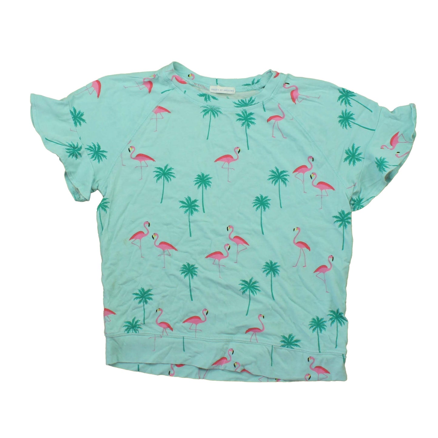 Rockets Of Awesome Girls Teal | Flamingoes T-Shirt Size: 10-12 Years