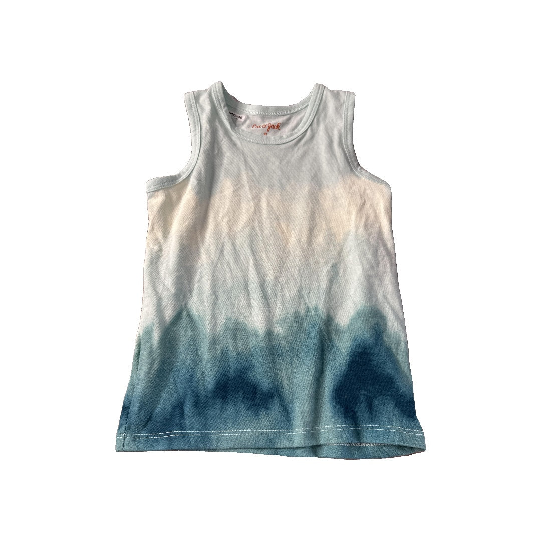 Cat & Jack Boys Teal | Tie Dye Tank Top Size: 2T Teal | Tie Dye