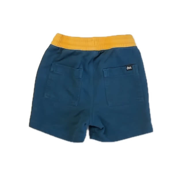 Tea Collection Boys Teal | Yellow Shorts Size: 4T Teal | Yellow