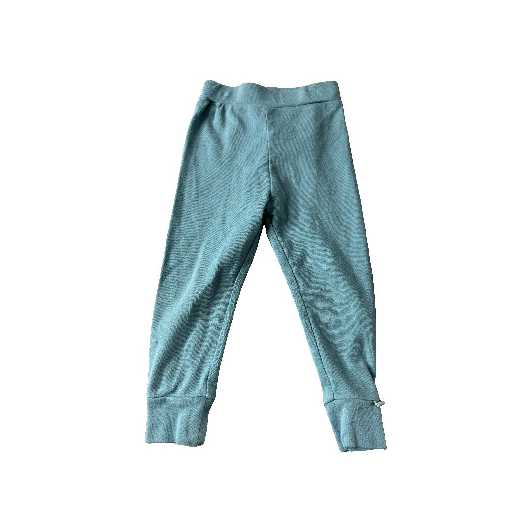 Finn + Emma Boys Teal Pants Size: 2T Teal