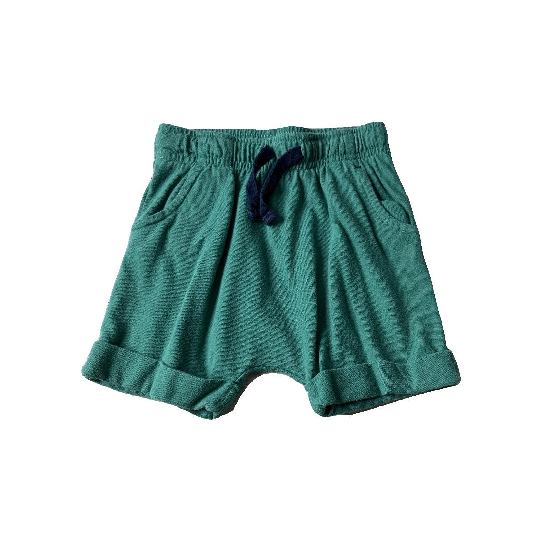 Cat & Jack Boys Teal Shorts Size: 3T Teal