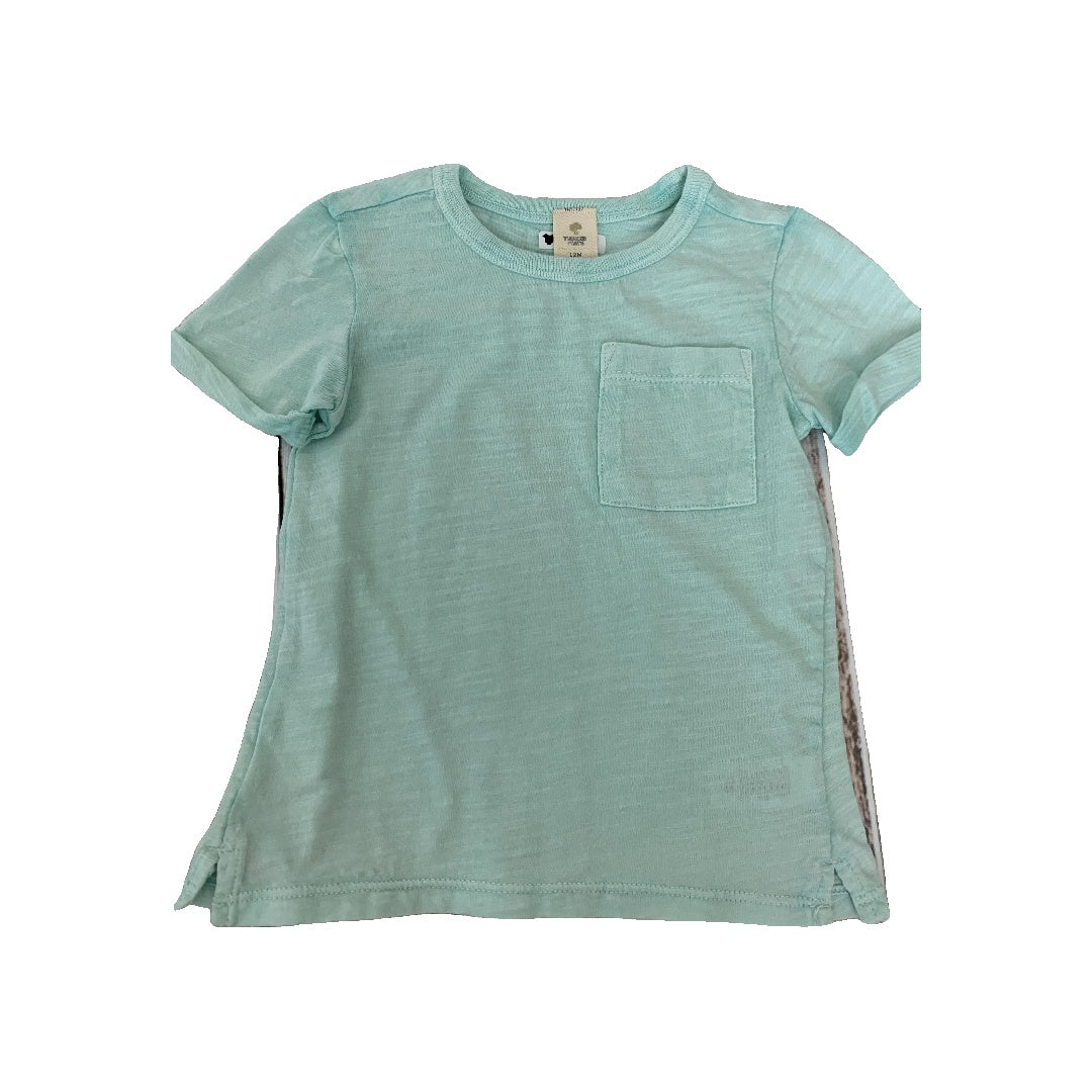 Tucker + Tate Boys Teal T-Shirt Size: 12M Teal