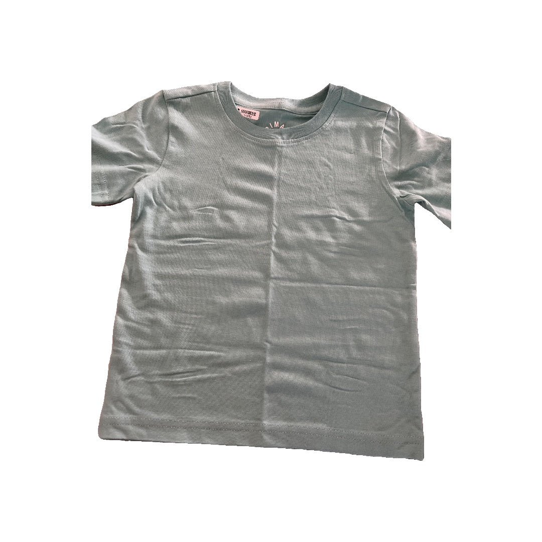 Primary Unisex Teal T-Shirt Size: 2T Teal