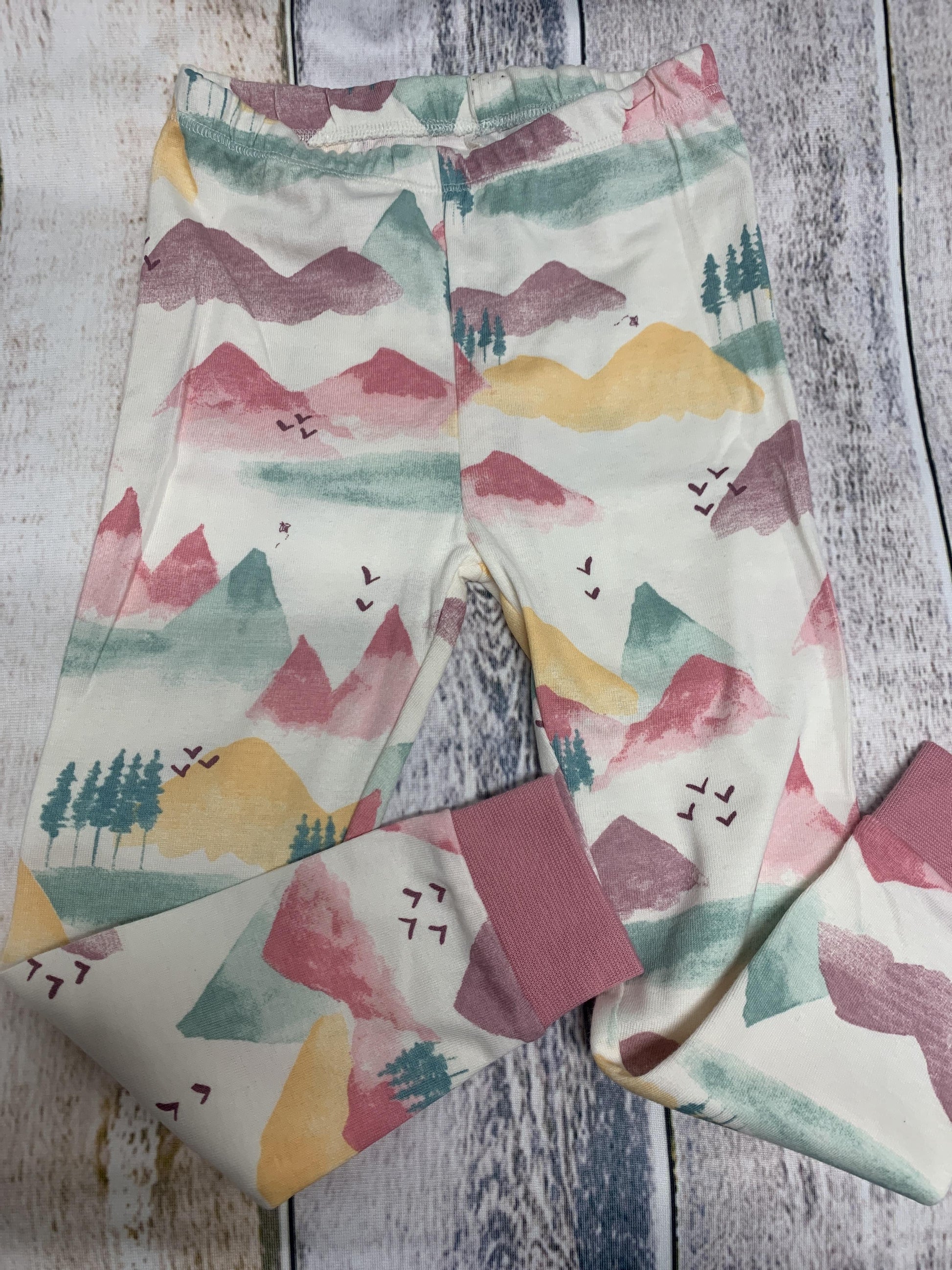 Burt's Bees Girls Turquoise | pink Pajamas Size: 3T Turquoise | pink