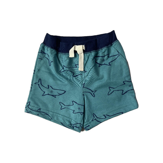 Carters Boys Turquoise | Royal Blue Shorts Size: 6-9 months Turquoise | Royal Blue