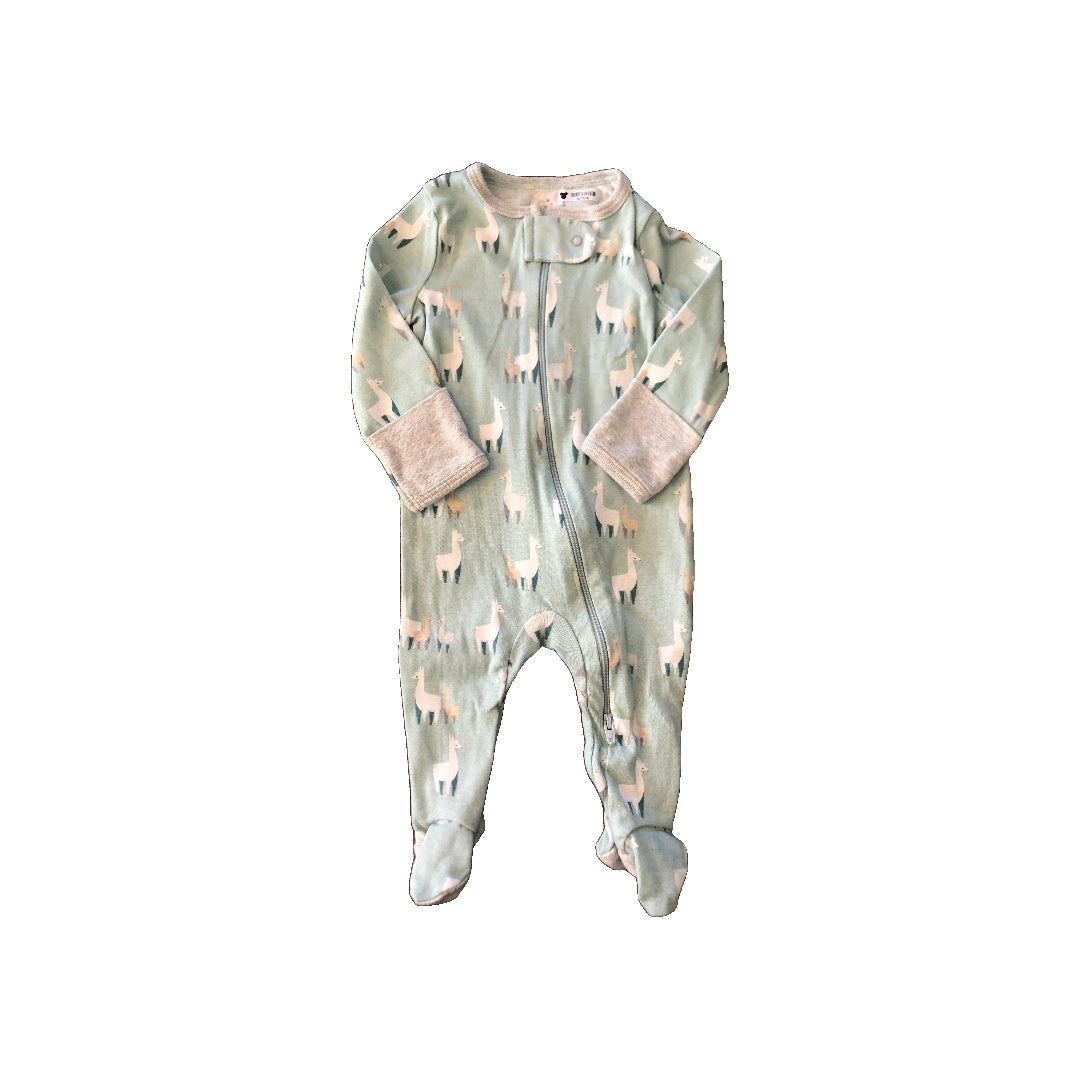 Cloud Island Girls Turquoise | White Pajamas Size: 0-3 months Turquoise | White