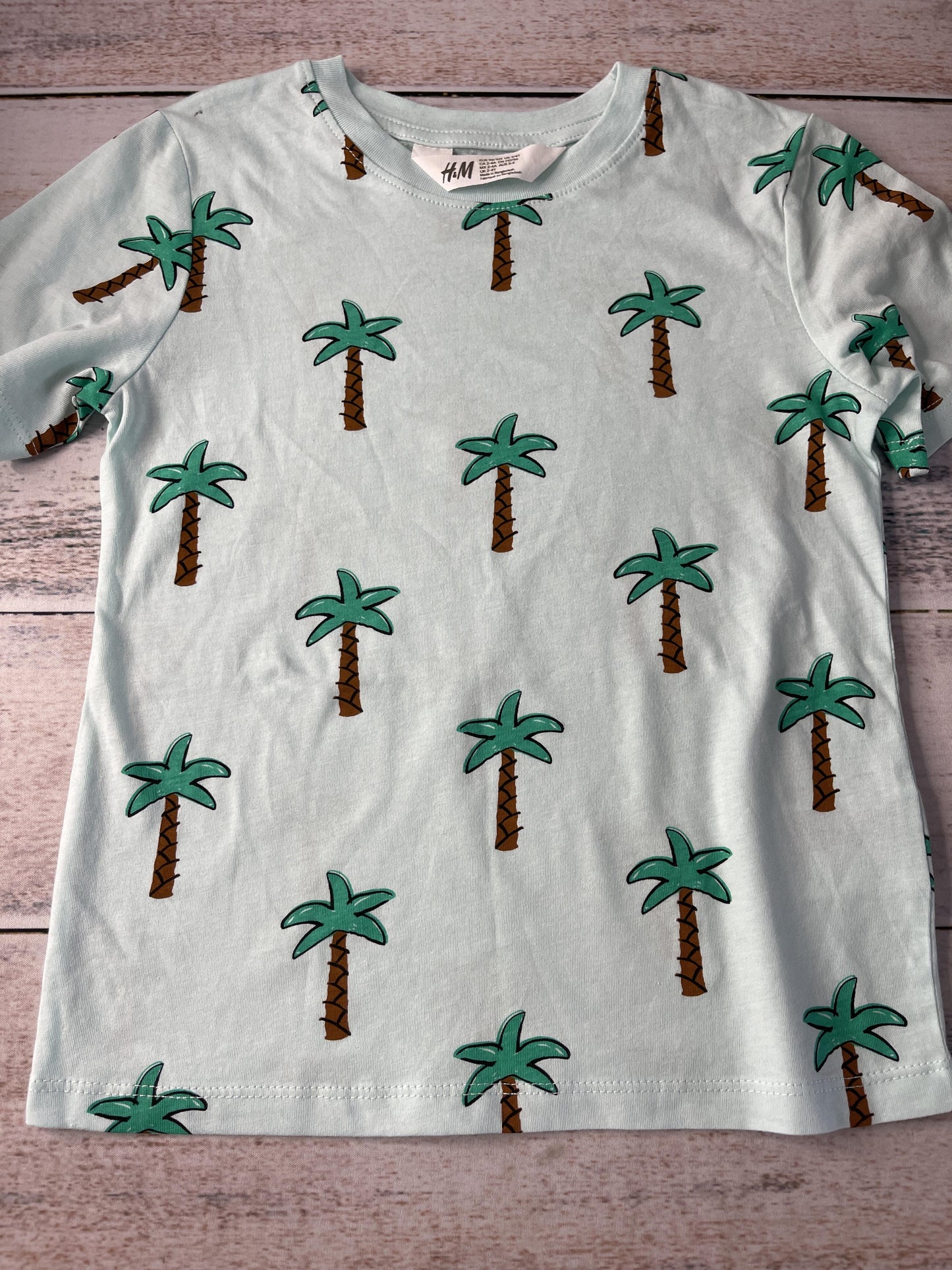 H&M Unisex Turquoise T-Shirt Size: 3T Turquoise