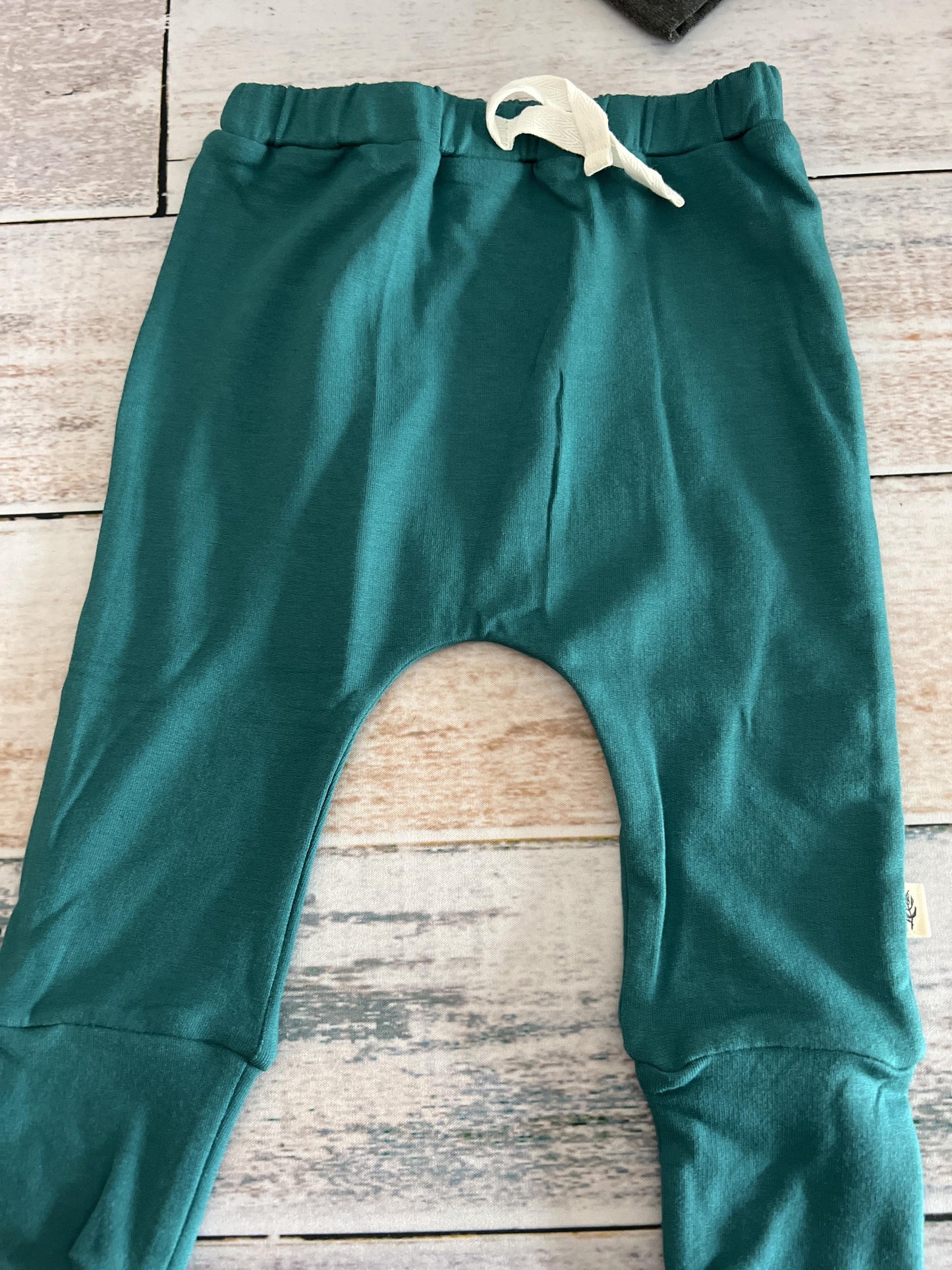 BabySprouts co Boys Turquoise Pants Size: 12-18 months Turquoise