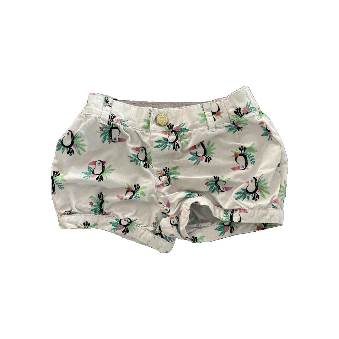 Gymboree Girls White | Birds Shorts Size: 3T White | Birds