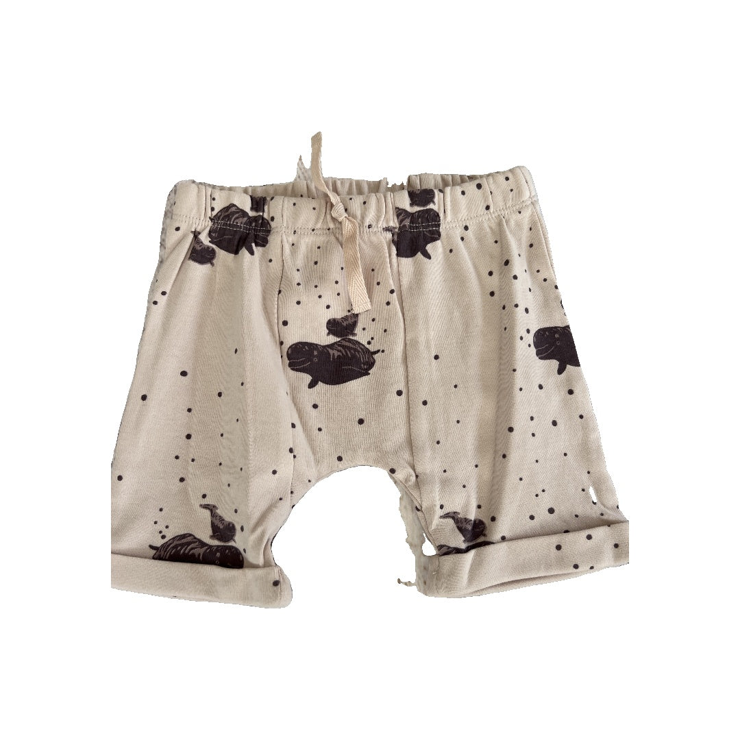 Kate Quinn Girls White | Black | Pattern Shorts Size: 12-18 months White | Black | Pattern