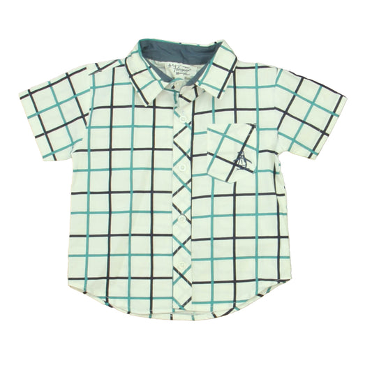 Penguin Boys White | Navy | Green Button Down Short Sleeve Size: 12 Months White | Navy | Green