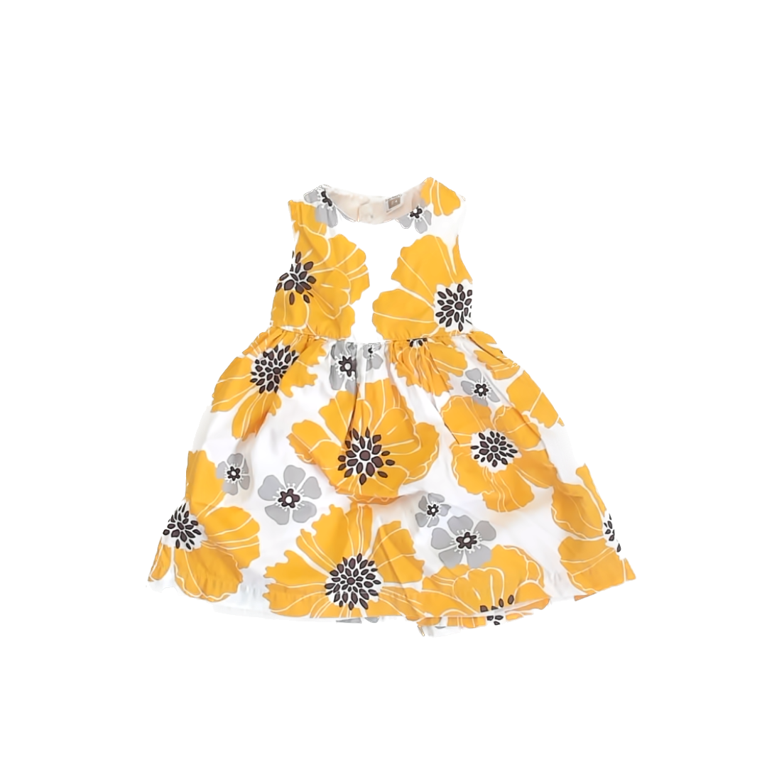 Carter''s Girls Yellow | Brown Dress Size: 24 Months Yellow | Brown